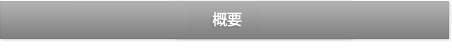 概要