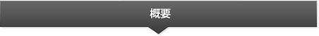 概要