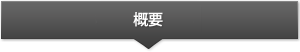 概要