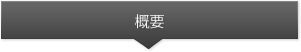 概要