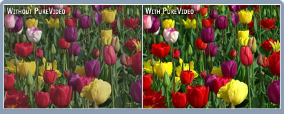Precise, vivid color example