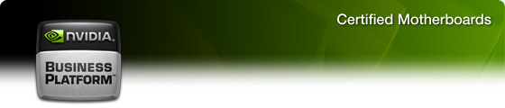 NVIDIA Business Platform