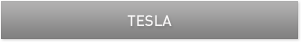 Teslaコンパニオンプロセッサ