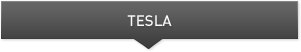 Teslaコンパニオンプロセッサ
