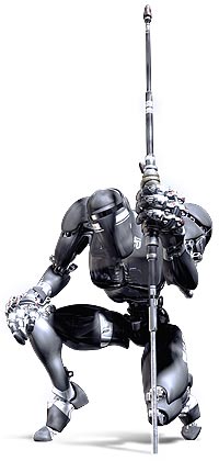 The Assassin