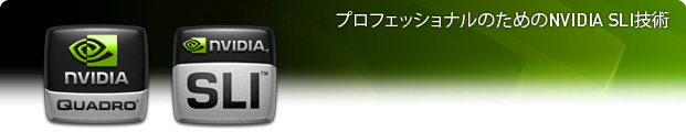 NVIDIA SLI Technology for Professionals