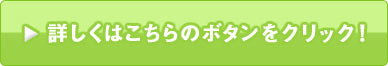 launch_configurator_btn_jp.jpg