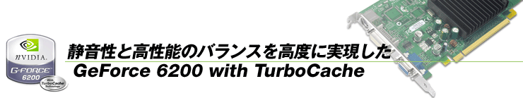 Éƍ\̃oXxɎGeForce 6200 with TurboCache