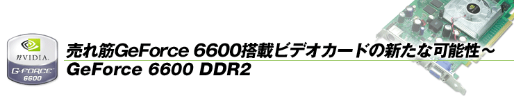 GeForce 6600ڃrfIJ[h̐Vȉ\`GeForce 6600 DDR2